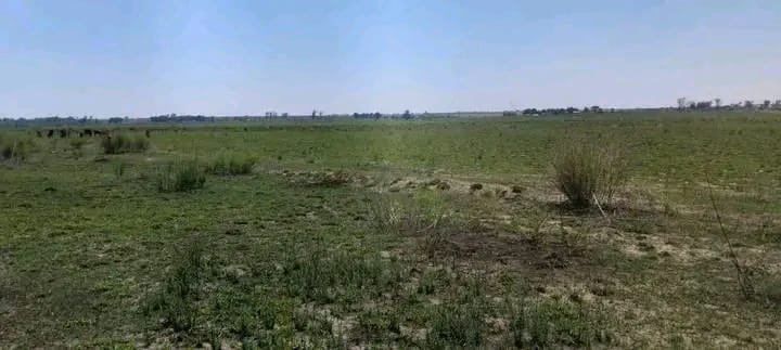 Commercial Property for Sale in Koppies Free State